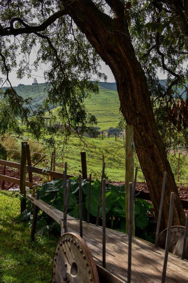 Bubble Pingo Do Mula Serra Da Canastra Сан-Рокі-ді-Мінас Екстер'єр фото
